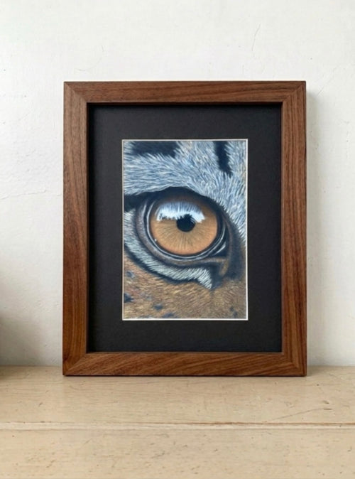 Tiger Eye Study {Original Piece} - Hand Drawn Pastel Art 7x9.5 Signed Artwork