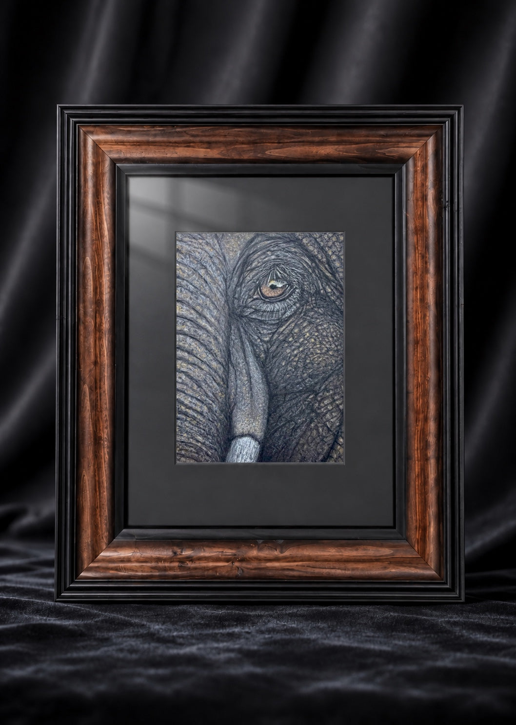Elephant Eye - 8x10 Signed & Numbered Archival Print