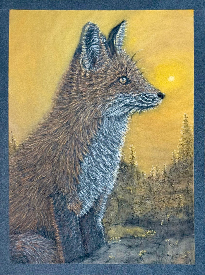 Red Fox