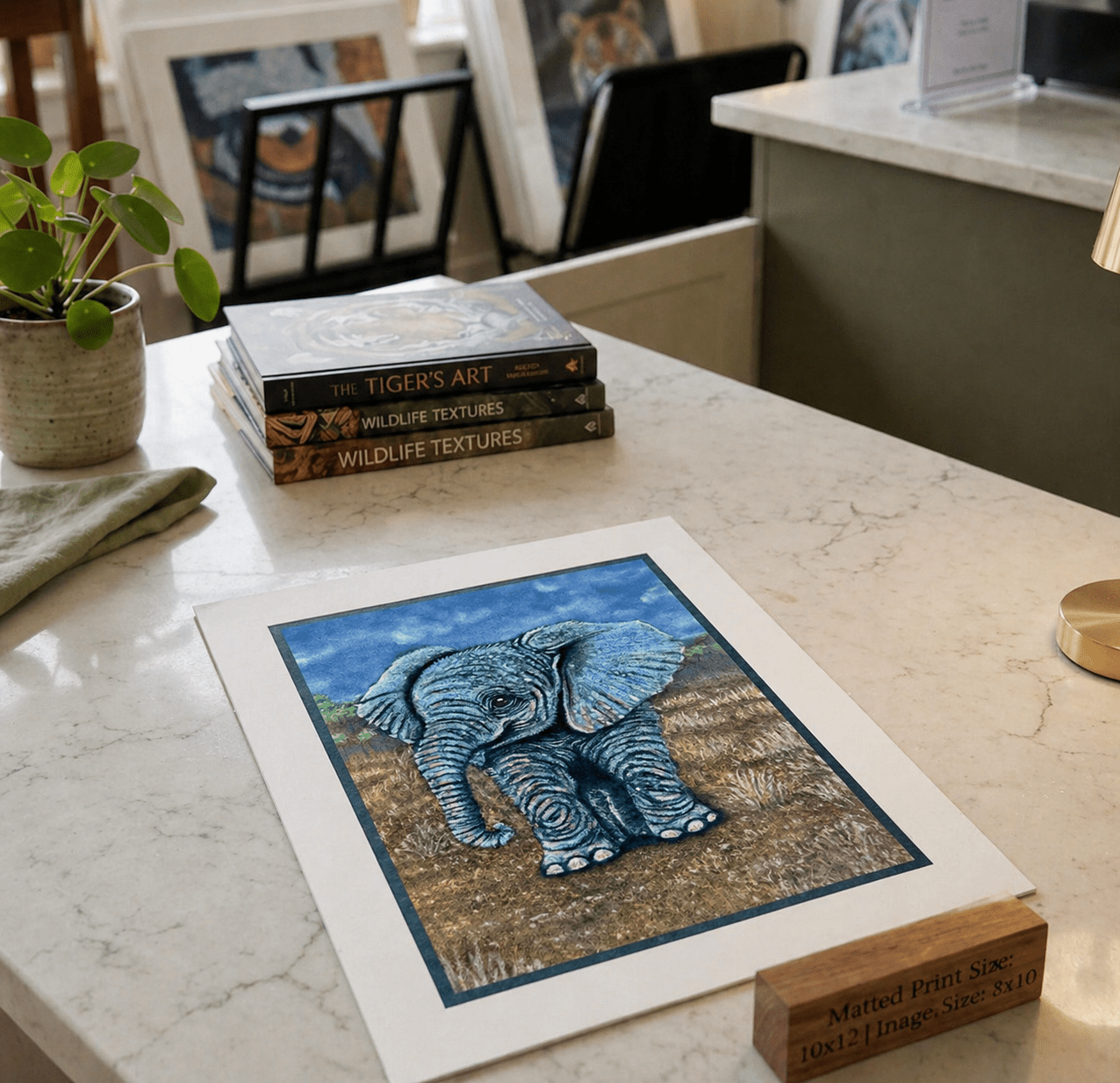 Baby Elephant • Hand Drawn Limited Edition Giclee Print • 10x12 - aGuyWithMSthatDraws