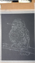 Baby Hummingbird • Hand Drawn Original Pastel • 7.5x9 - aGuyWithMSthatDraws