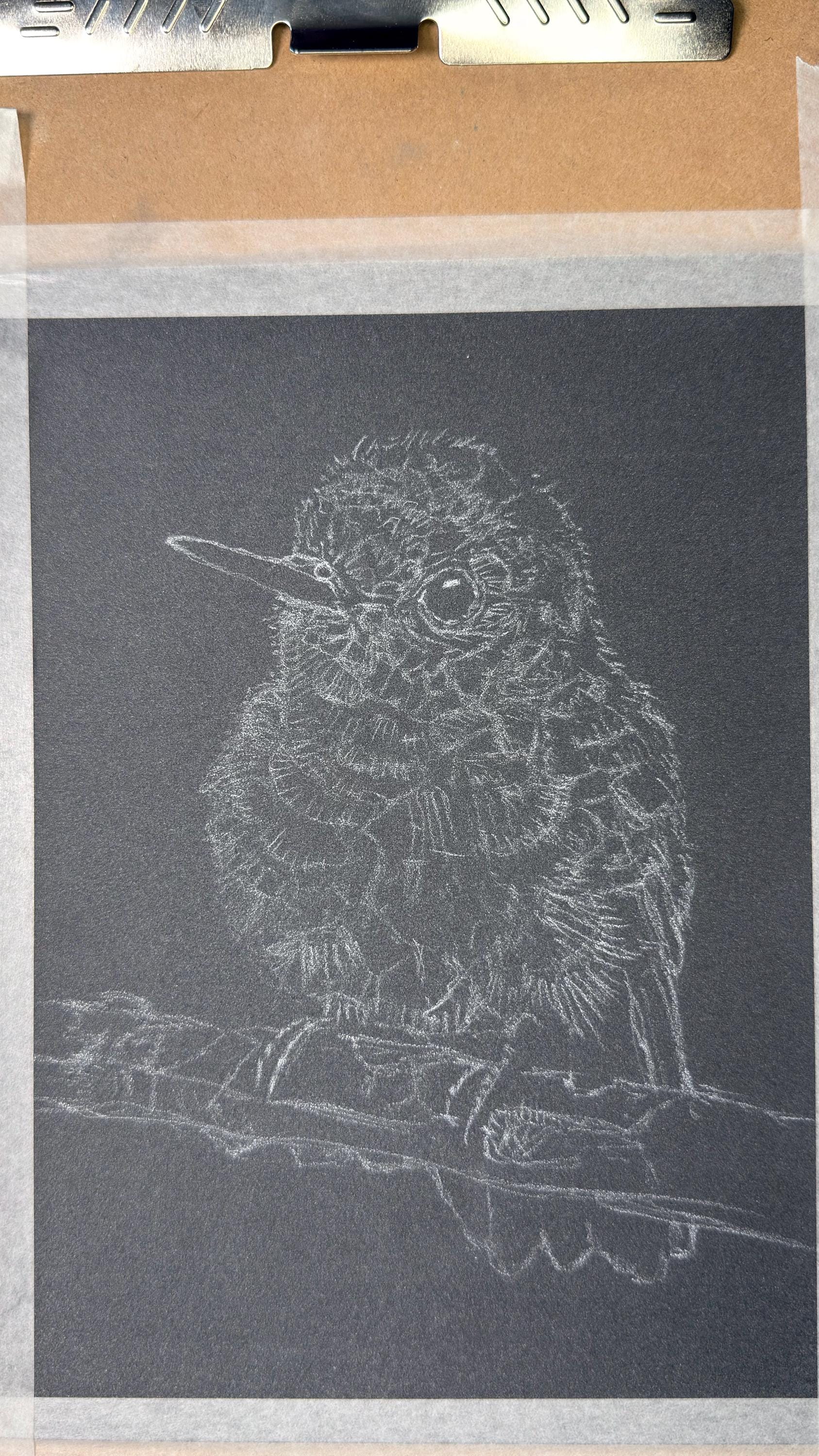 Baby Hummingbird • Hand Drawn Original Pastel • 7.5x9 - aGuyWithMSthatDraws