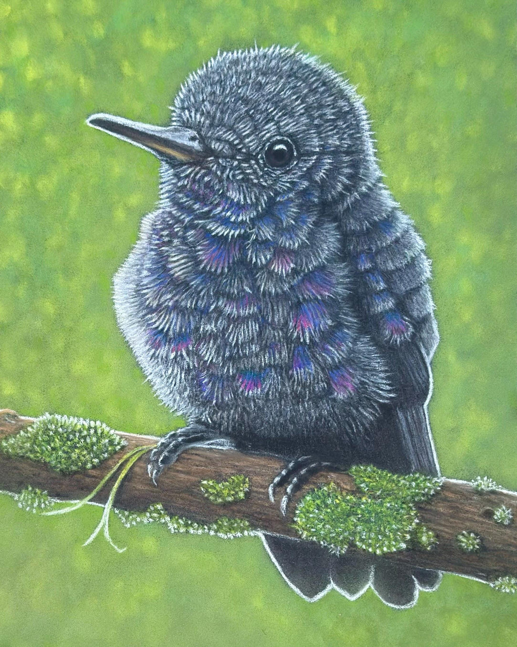 Baby Hummingbird • Hand Drawn Original Pastel • 7.5x9 - aGuyWithMSthatDraws
