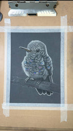 Baby Hummingbird Pastel Pencil Drawing 7.5 By 9 Inches One Of A Kind Wildlife Artwork By A Guy With MS That Draws - aGuyWithMSthatDraws