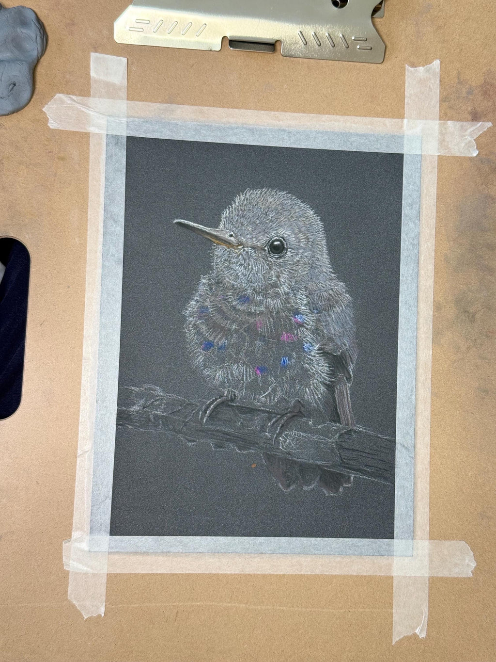Baby Hummingbird Pastel Pencil Drawing 7.5 By 9 Inches One Of A Kind Wildlife Artwork By A Guy With MS That Draws - aGuyWithMSthatDraws