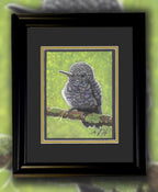 Baby Hummingbird Pastel Pencil Drawing 7.5 By 9 Inches One Of A Kind Wildlife Artwork By A Guy With MS That Draws - aGuyWithMSthatDraws