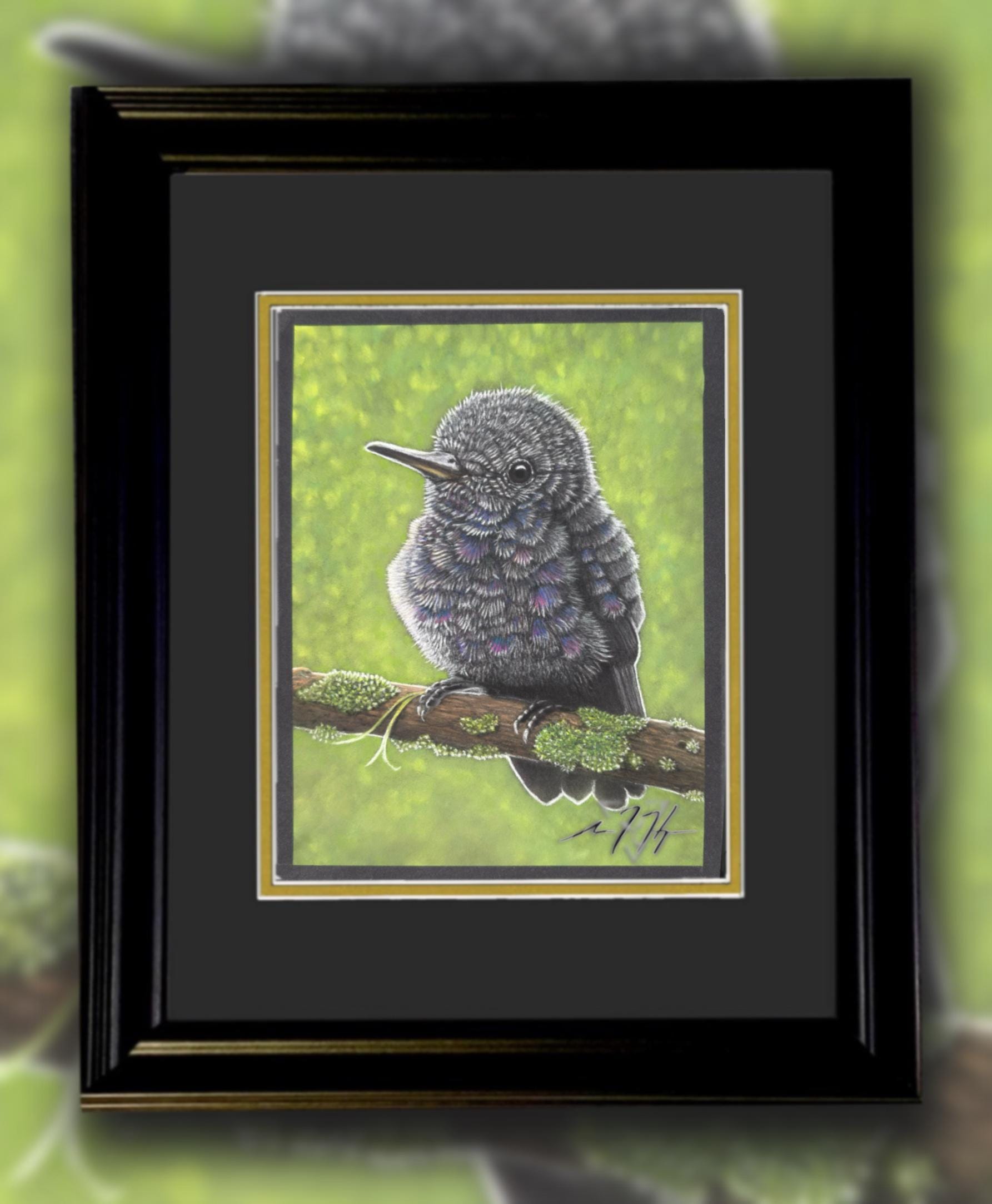 Baby Hummingbird Pastel Pencil Drawing 7.5 By 9 Inches One Of A Kind Wildlife Artwork By A Guy With MS That Draws - aGuyWithMSthatDraws