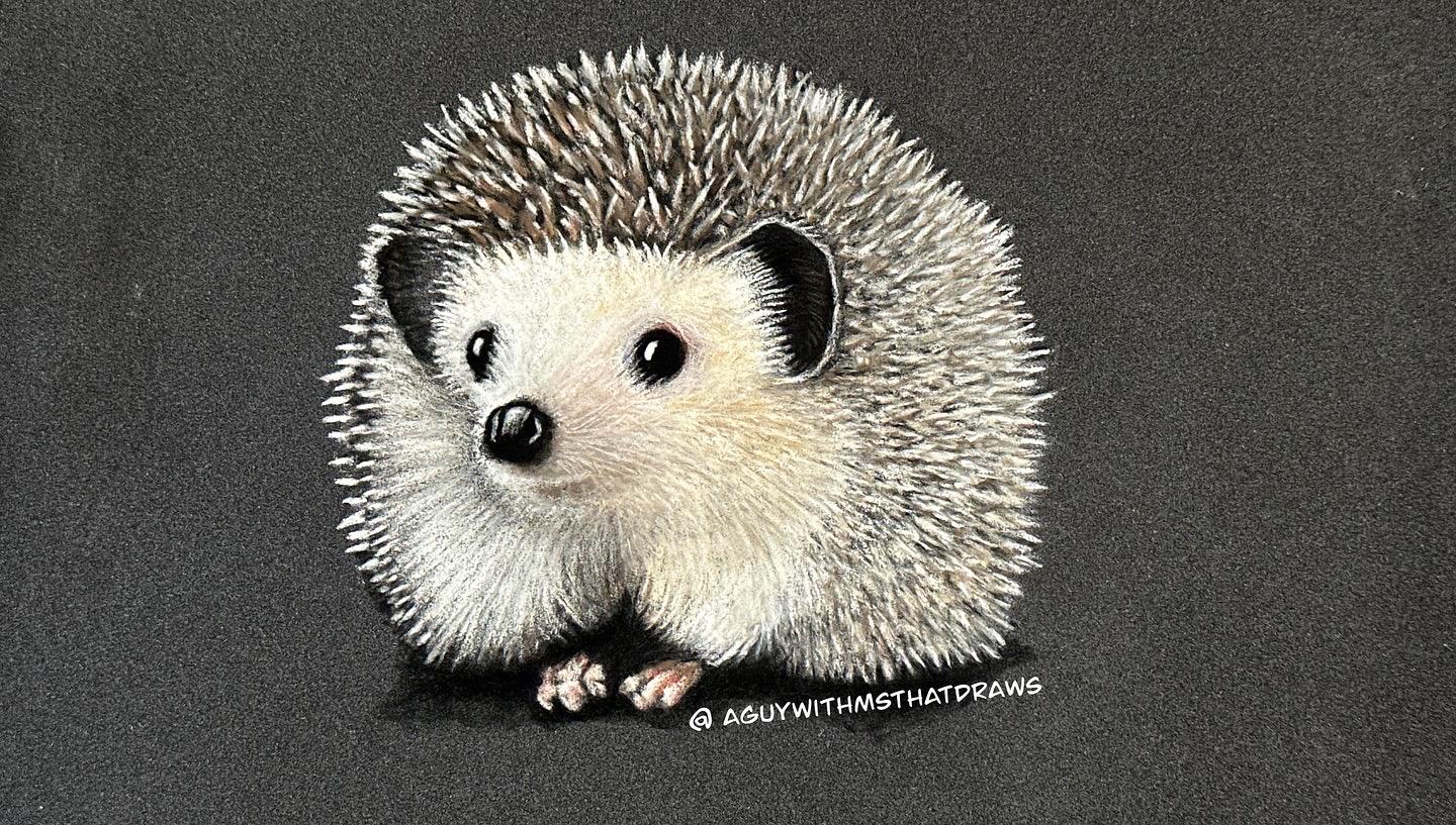 Be You - Hedgehog Shirt Pastel Triblend Animal Art Tee Hand Drawn Illustration Be You Collection - aGuyWithMSthatDraws