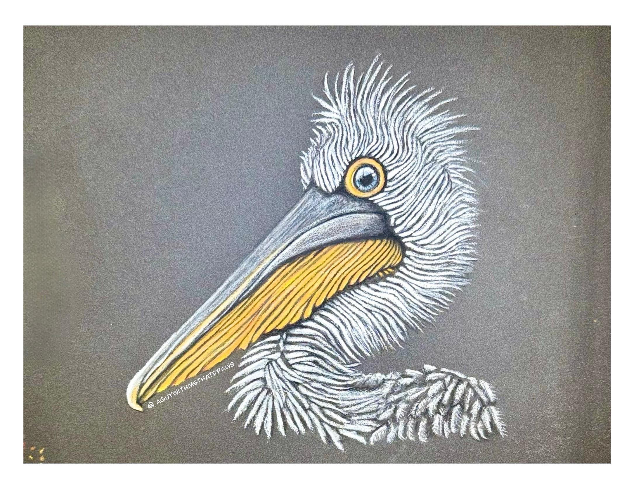 Be You Pelican Mug Whimsical Animal Art Cup Hand Drawn With Pastel Pencil Detail Colorful Handle And Interior Ceramic - aGuyWithMSthatDraws