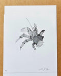 Coconut Crab • Hand Drawn Limited Edition Giclee Print • 8x10 - aGuyWithMSthatDraws