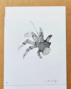 Coconut Crab • Hand Drawn Limited Edition Giclee Print • 8x10 - aGuyWithMSthatDraws