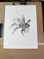 Coconut Crab • Hand Drawn Limited Edition Giclee Print • 8x10 - aGuyWithMSthatDraws