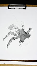 Coconut Crab • Hand Drawn Limited Edition Giclee Print • 8x10 - aGuyWithMSthatDraws