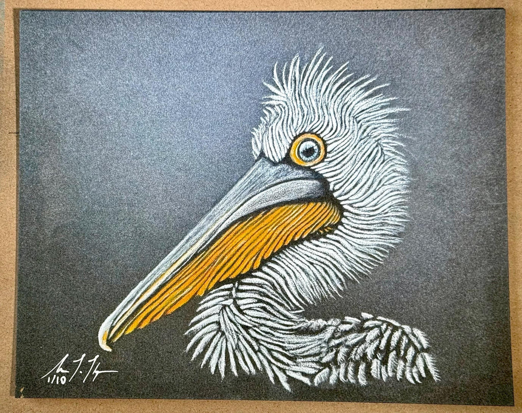 Dalmatian Pelican • Hand Drawn Limited Edition Print • 8x10 - aGuyWithMSthatDraws