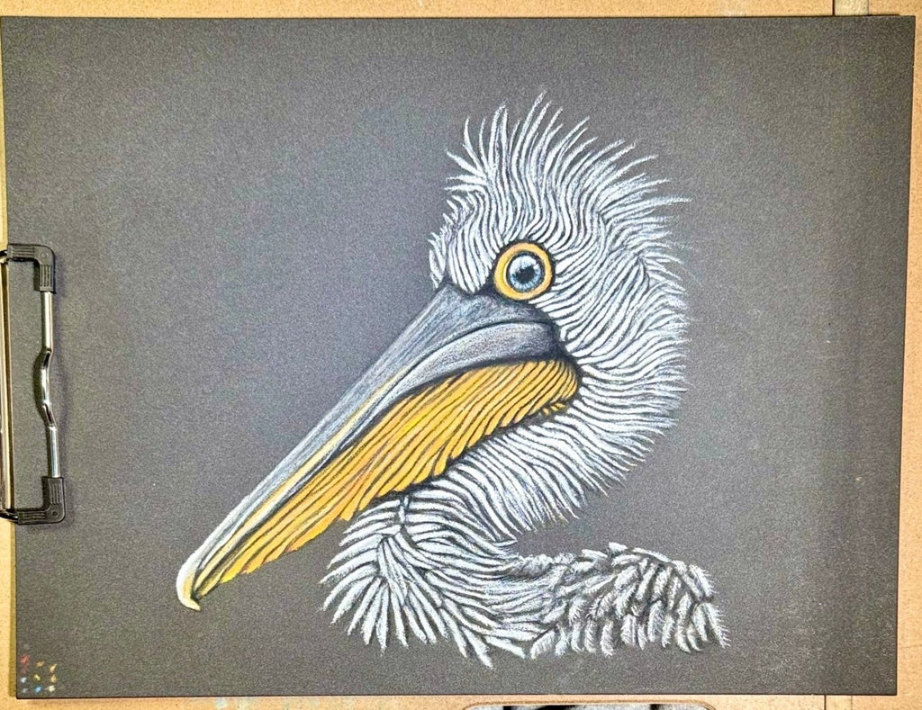 Dalmatian Pelican • Hand Drawn Limited Edition Print • 8x10