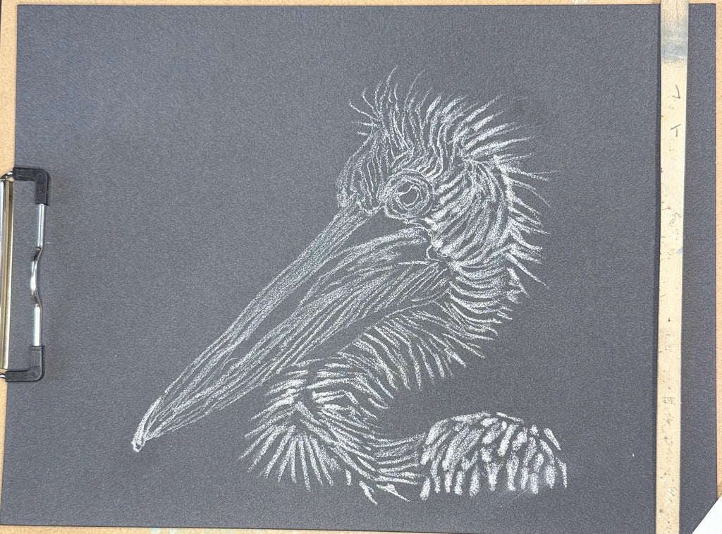 Dalmatian Pelican • Hand Drawn Limited Edition Print • 8x10 - aGuyWithMSthatDraws