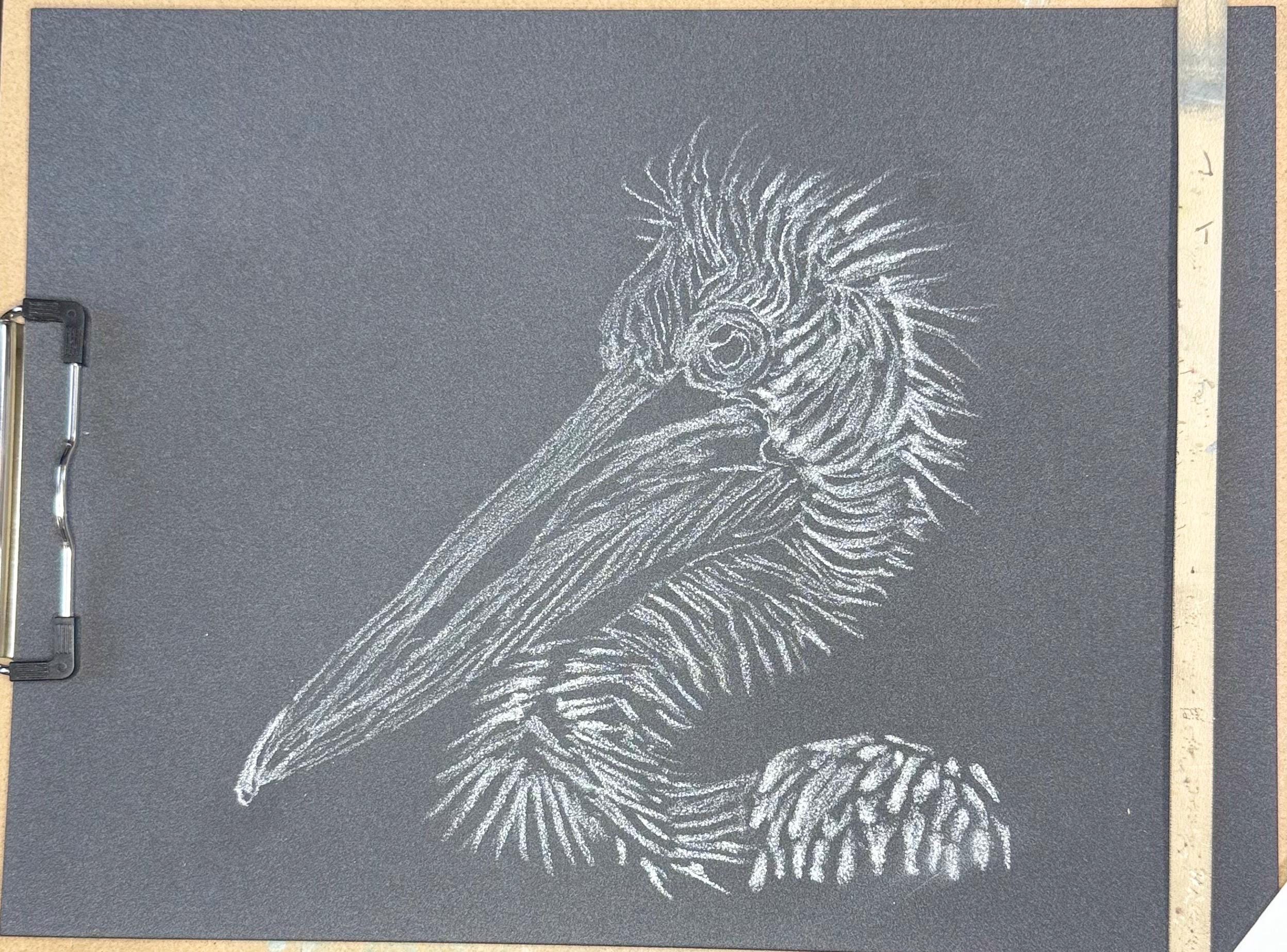 Dalmatian Pelican • Hand Drawn Limited Edition Print • 8x10 - aGuyWithMSthatDraws