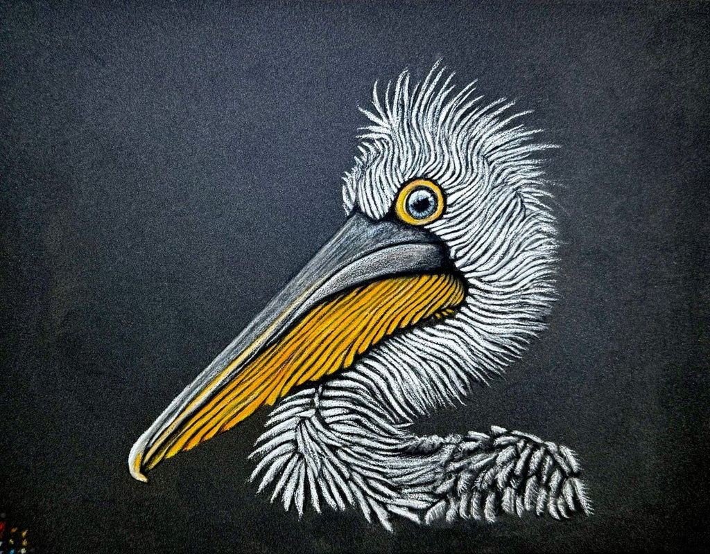 Dalmatian Pelican hand drawn in pastel pencil, limited edition 8x10 print, signed and numbered
