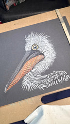 Dalmatian Pelican • Hand Drawn Limited Edition Print • 8x10 - aGuyWithMSthatDraws