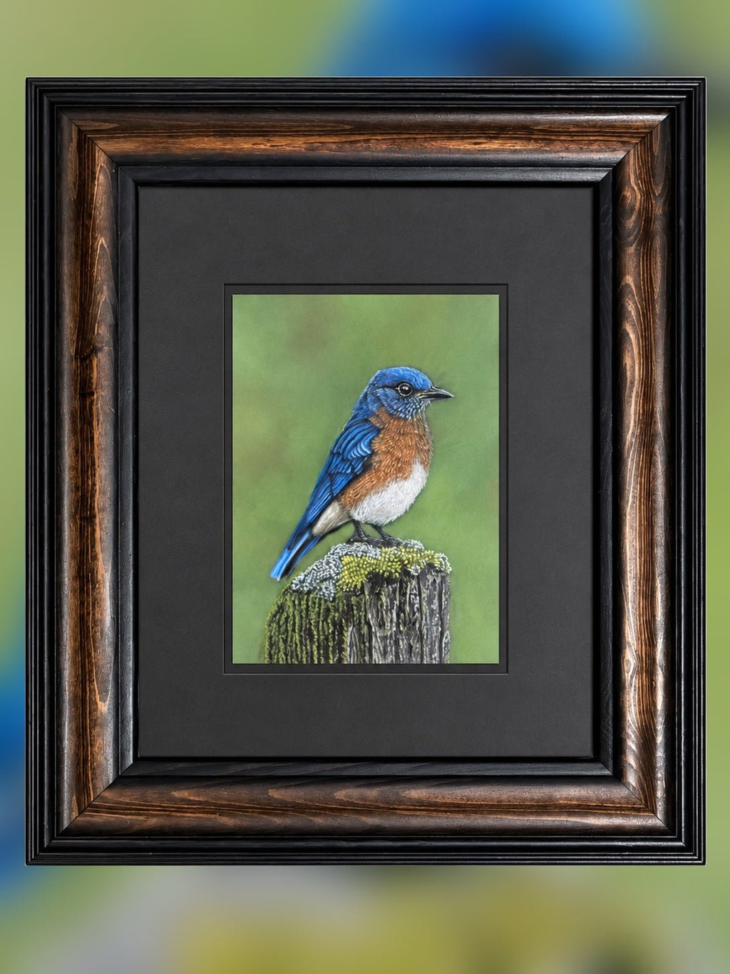 Eastern Bluebird - 7x9.5 Original Pastel Pencil Drawing - aGuyWithMSthatDraws