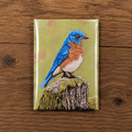 Hand drawn pastel pencil Eastern bluebird perched on a mossy stump, printed as a glossy 3x4 magnet
