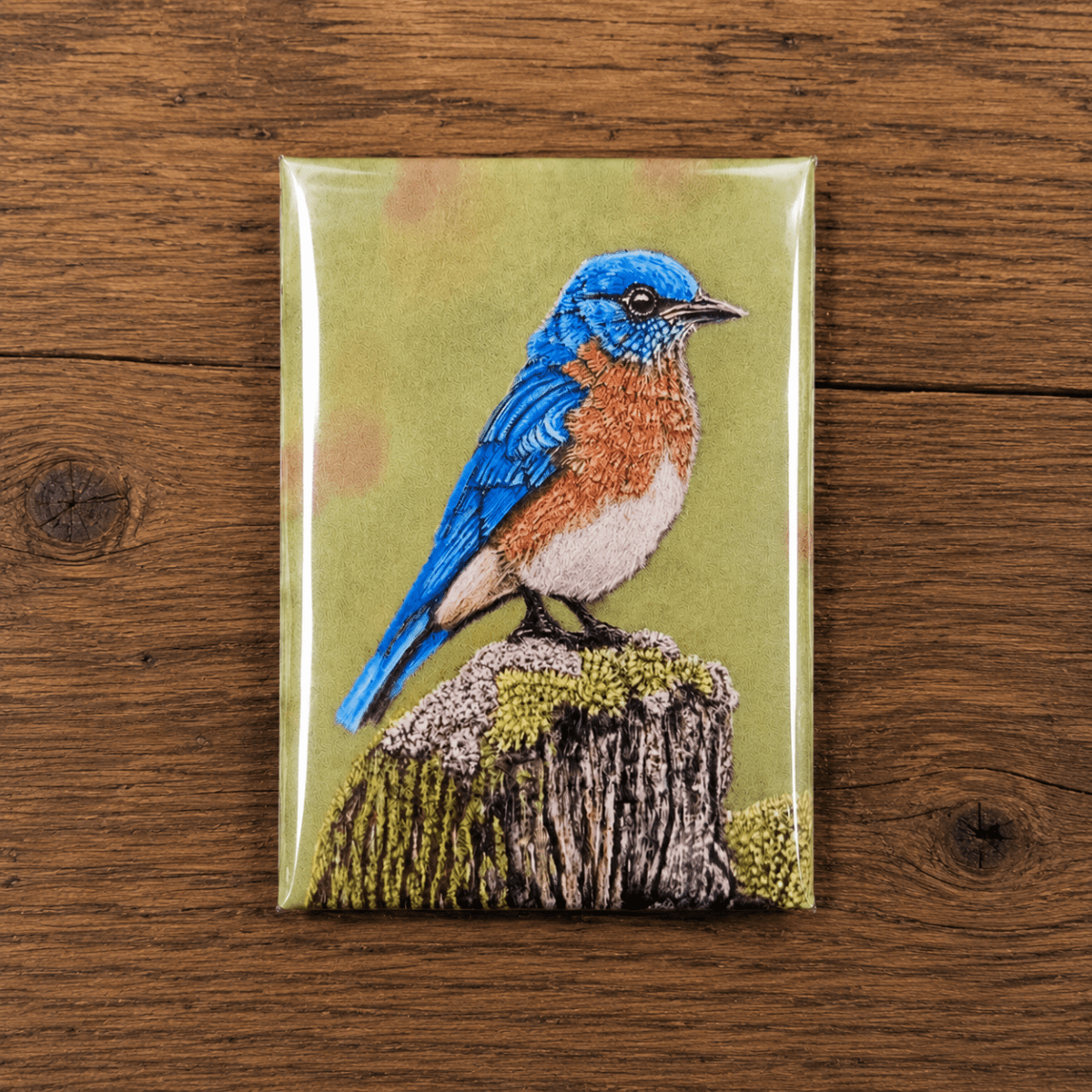Hand drawn pastel pencil Eastern bluebird perched on a mossy stump, printed as a glossy 3x4 magnet