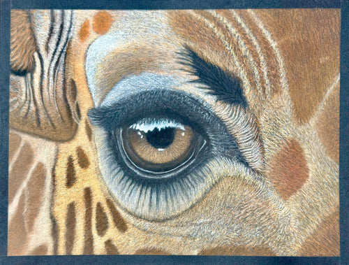 Giraffe Giclee Print Hand Drawn Pastel Artwork 8x10 Signed Limited Edition - aGuyWithMSthatDraws