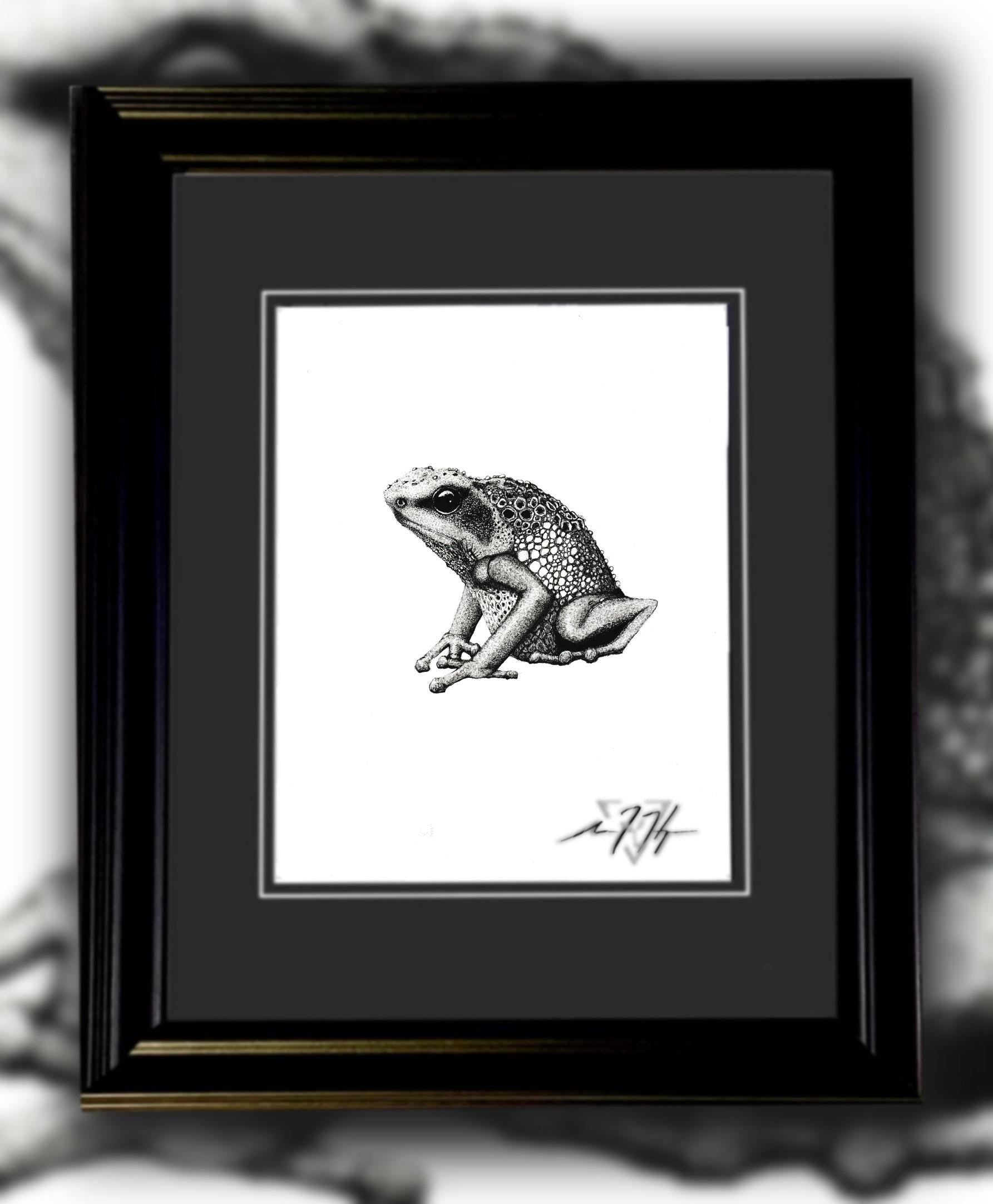 Goliath Frog Drawing Original Ink Illustration Hand Drawn On Arches Paper Fine Liner Artwork - aGuyWithMSthatDraws