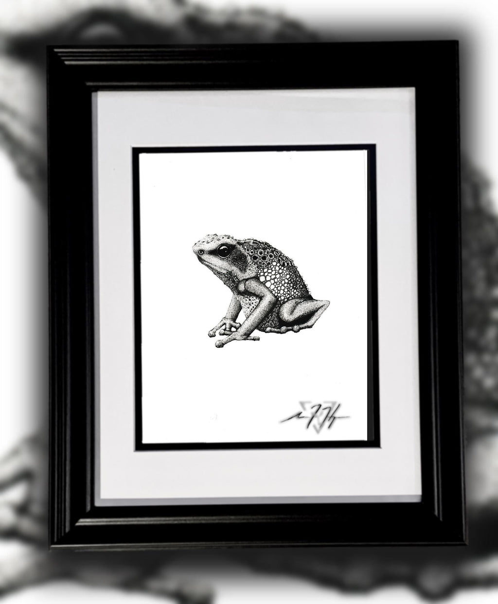 Goliath Frog Drawing Original Ink Illustration Hand Drawn On Arches Paper Fine Liner Artwork - aGuyWithMSthatDraws