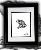 Goliath Frog Drawing Original Ink Illustration Hand Drawn On Arches Paper Fine Liner Artwork - aGuyWithMSthatDraws