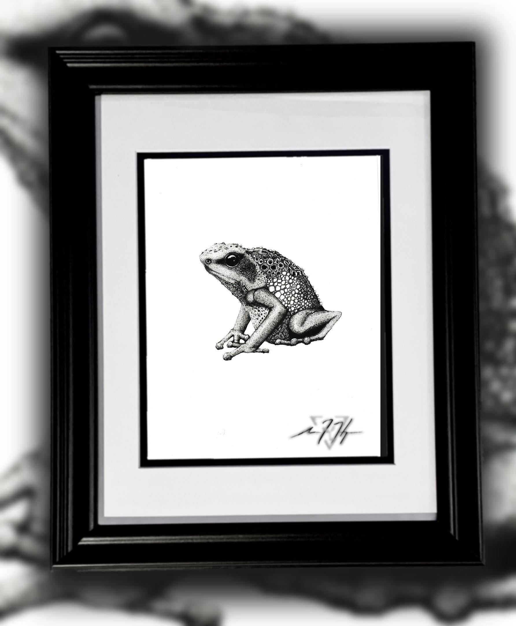 Goliath Frog Drawing Original Ink Illustration Hand Drawn On Arches Paper Fine Liner Artwork - aGuyWithMSthatDraws