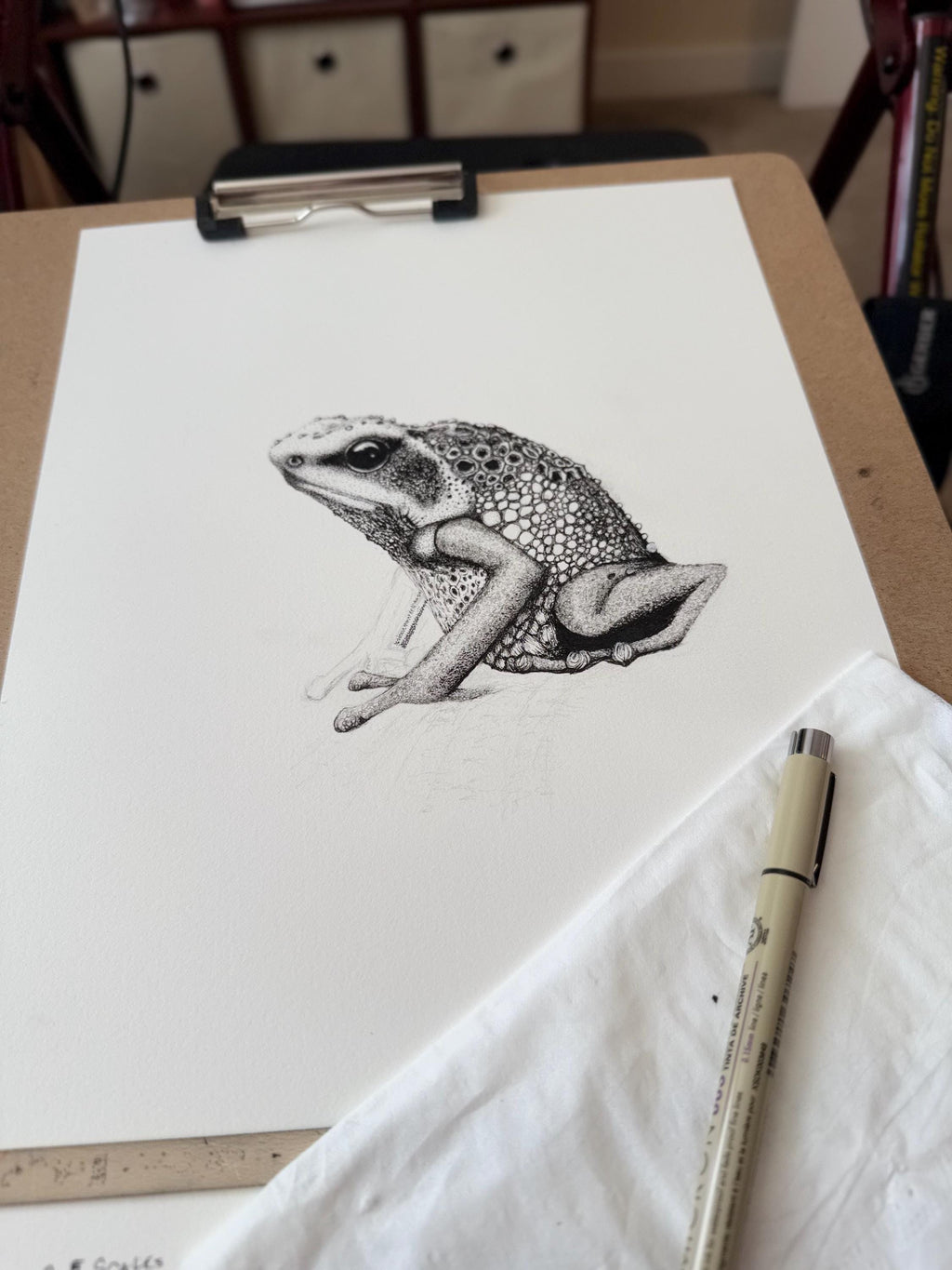 Goliath Frog Drawing Original Ink Illustration Hand Drawn On Arches Paper Fine Liner Artwork - aGuyWithMSthatDraws