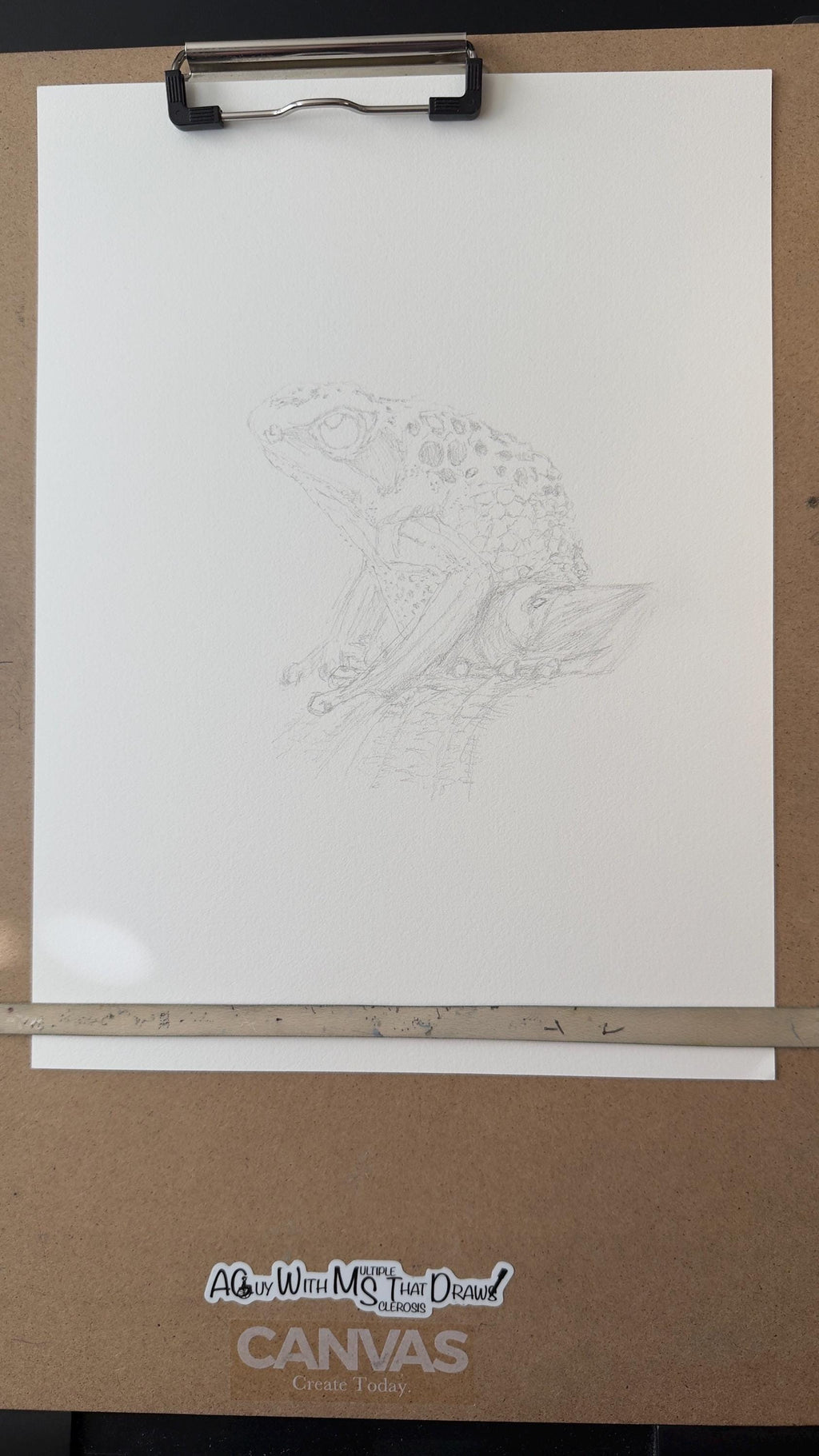Goliath Frog Drawing Original Ink Illustration Hand Drawn On Arches Paper Fine Liner Artwork - aGuyWithMSthatDraws