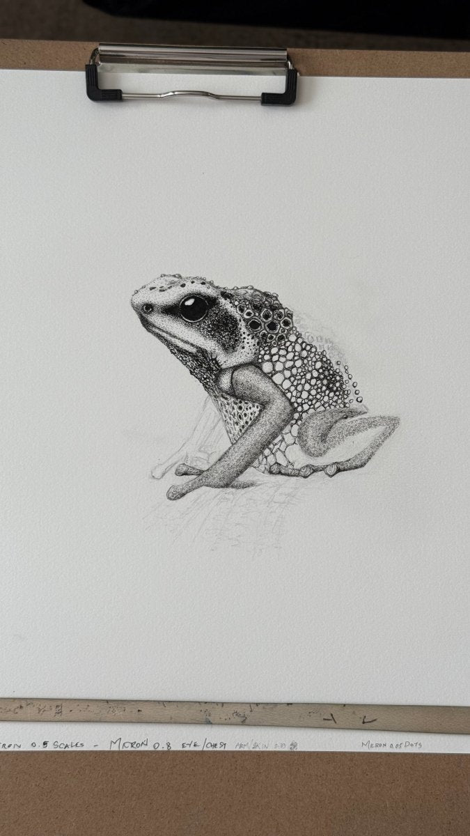 Goliath Frog • Hand Drawn Ink • Limited Edition Print • 8x10