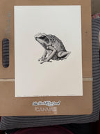 Goliath Frog • Hand Drawn Limited Edition Giclee Print • 8x10 - aGuyWithMSthatDraws