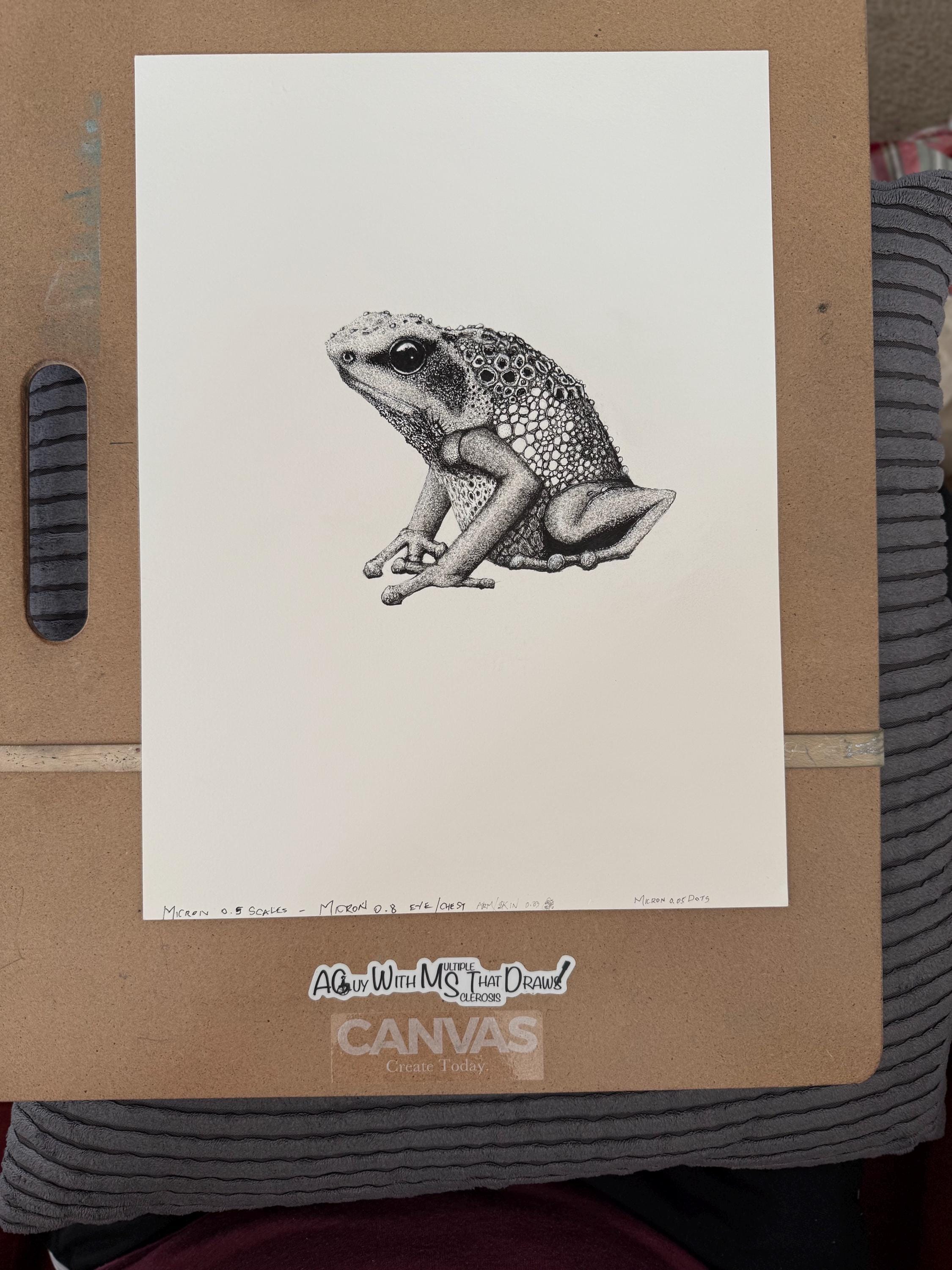 Goliath Frog • Hand Drawn Limited Edition Giclee Print • 8x10 - aGuyWithMSthatDraws