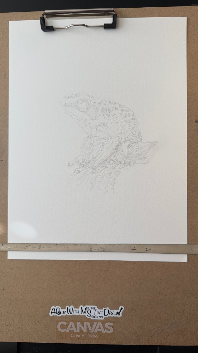 Goliath Frog • Hand Drawn Ink • Limited Edition Print • 8x10