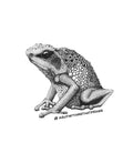 Goliath Frog • Hand Drawn Limited Edition Giclee Print • 8x10 - aGuyWithMSthatDraws