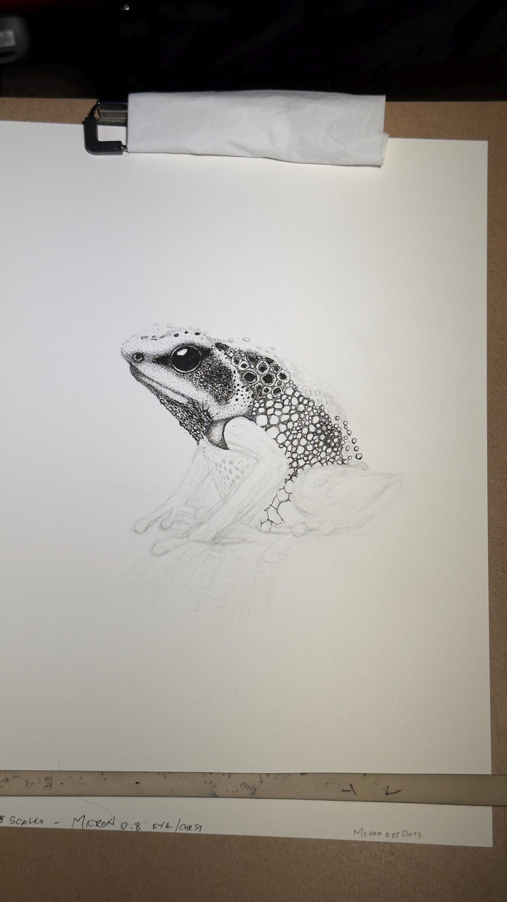 Goliath Frog • Hand Drawn Limited Edition Giclee Print • 8x10 - aGuyWithMSthatDraws