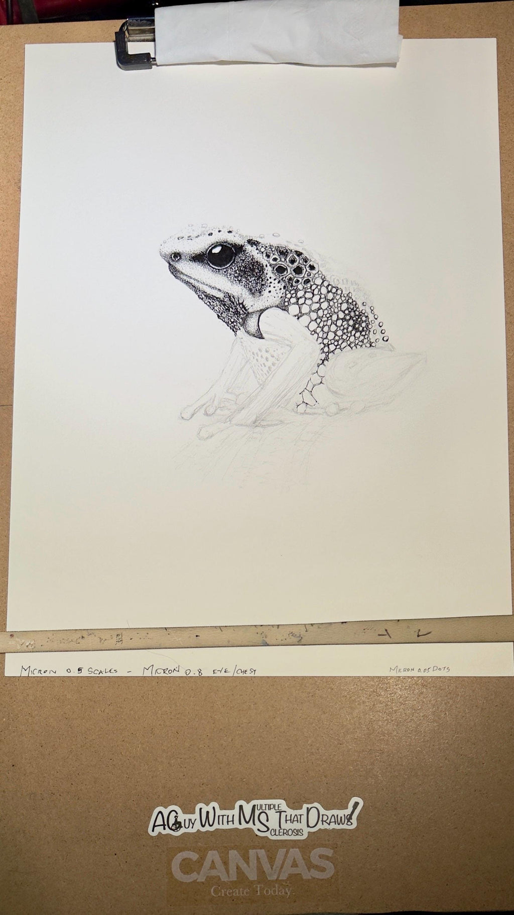 Goliath Frog • Hand Drawn Limited Edition Giclee Print • 8x10 - aGuyWithMSthatDraws