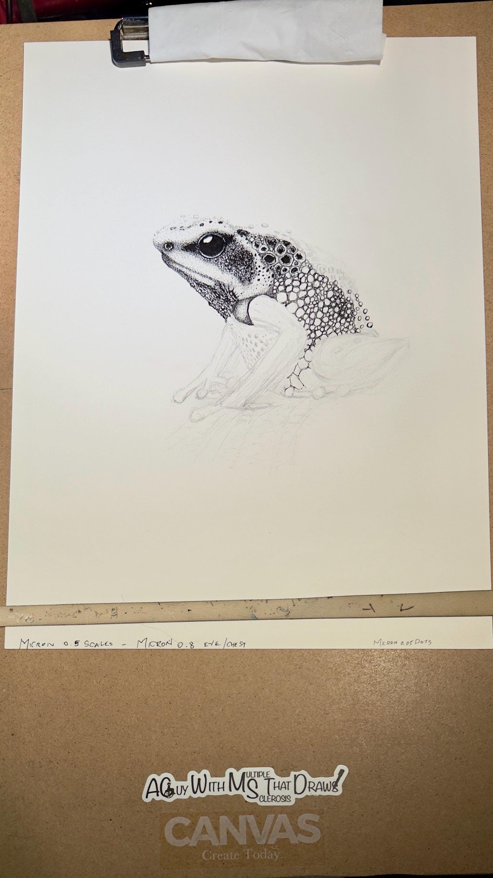 Goliath Frog • Hand Drawn Limited Edition Giclee Print • 8x10 - aGuyWithMSthatDraws