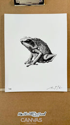 Goliath Frog • Hand Drawn Limited Edition Giclee Print • 8x10 - aGuyWithMSthatDraws