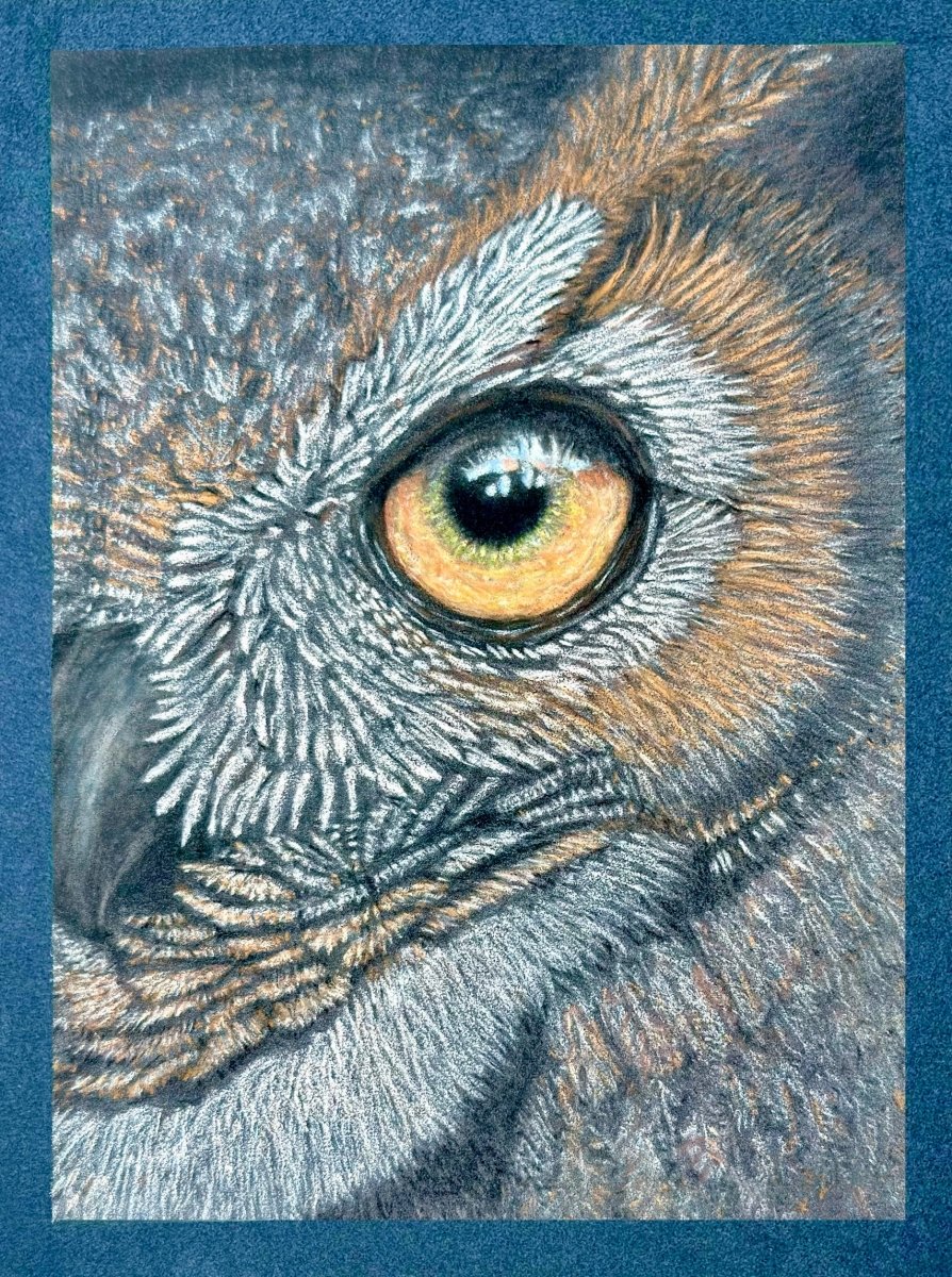 Great horned owl eye artwork by aGuyWithMSthatDraws, hand drawn in pastel pencil