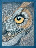 Great horned owl eye artwork by aGuyWithMSthatDraws, hand drawn in pastel pencil