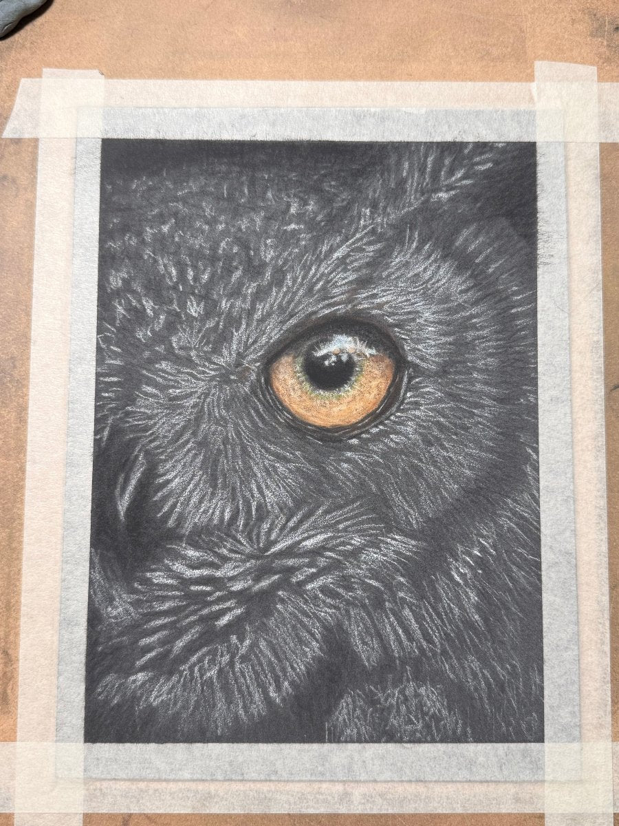Great horned owl eye fine art print from the Eyes of the Wild wildlife series