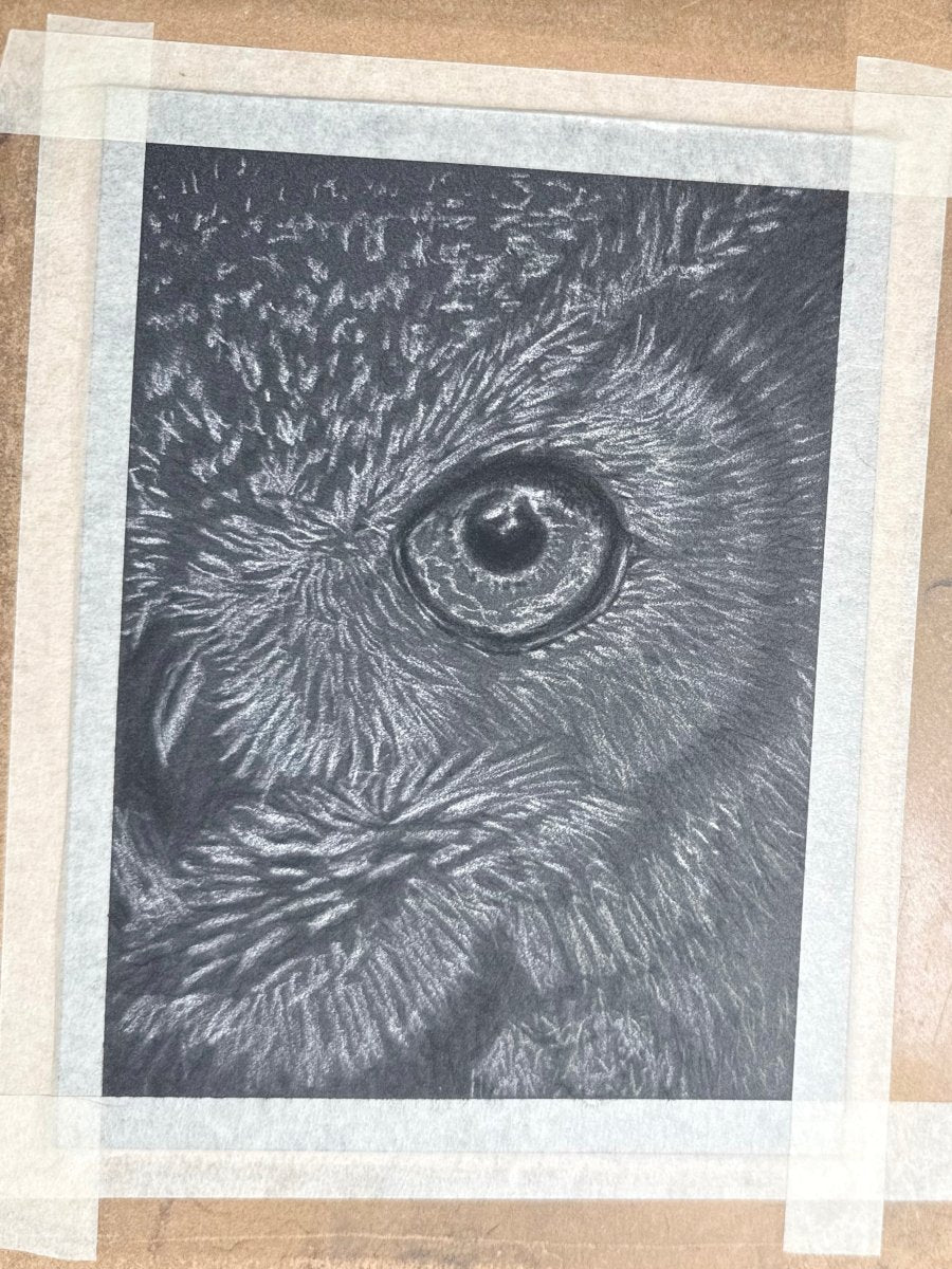 Detail of the great horned owl eye drawing showing pastel pencil texture and layered color