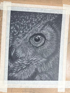 Detail of the great horned owl eye drawing showing pastel pencil texture and layered color