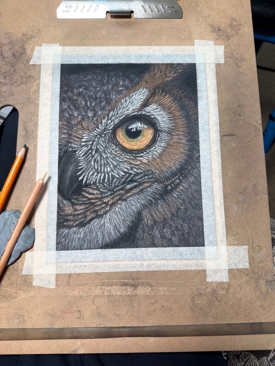 8x10 great horned owl eye pastel drawing print, signed and numbered limited edition