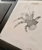 Hand Drawn • Coconut Crab • Limited Edition Giclee Print • 8x10 • Signed •Numbered • Embossed