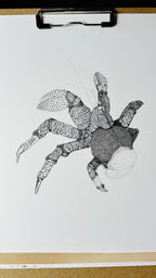 Hand Drawn • Coconut Crab • Limited Edition Giclee Print • 8x10 • Signed •Numbered • Embossed